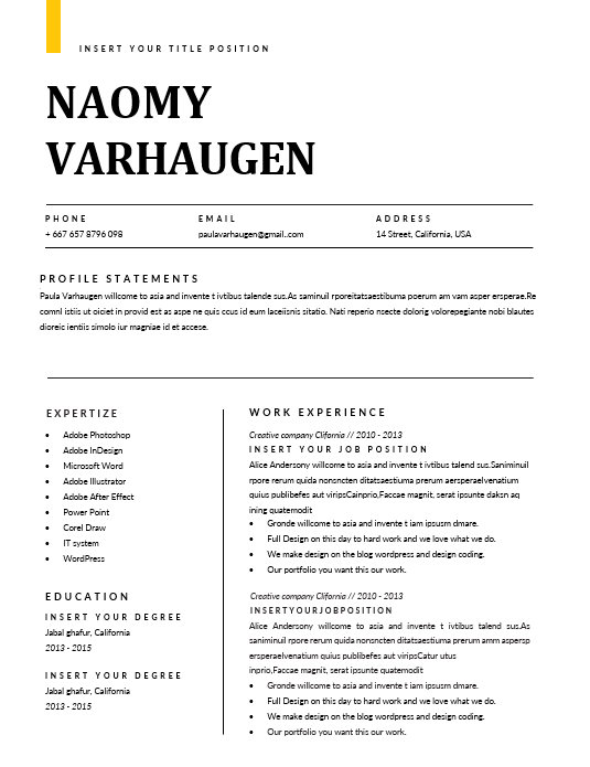Professional Clean resume template preview